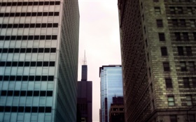 Rascacielos, vista área de la ciudad HD fondos de pantalla
