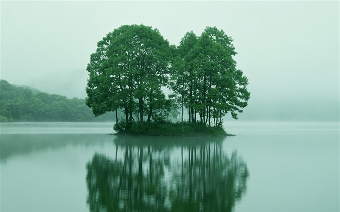 Pequeña isla en el centro del lago, árboles, Tokio, Japón Fondos de pantalla, imagen