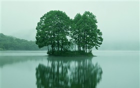 Pequeña isla en el centro del lago, árboles, Tokio, Japón
