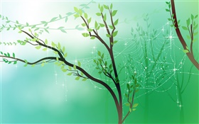 Primavera, verde, árboles, hojas, tela de araña, rocío, vector fotos HD fondos de pantalla