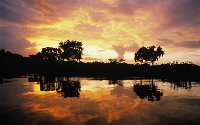 Puesta del sol sobre bosque, lago, Guyana Fondos de pantalla, imagen