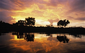 Puesta del sol sobre bosque, lago, Guyana