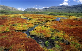 Pantano, montañas, hierba, paisaje de la naturaleza HD fondos de pantalla