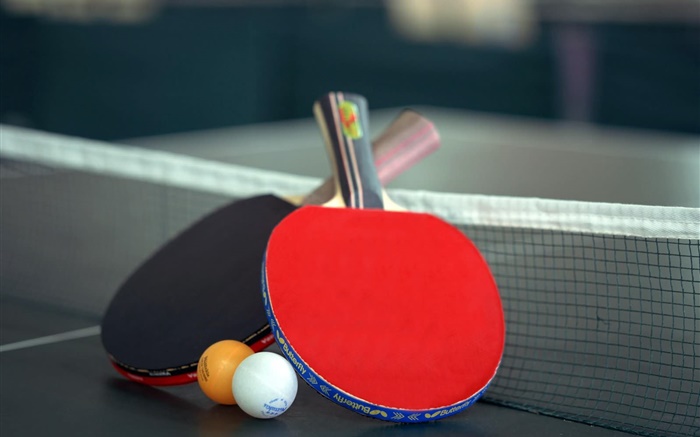 tenis de mesa y raqueta Fondos de pantalla, imagen