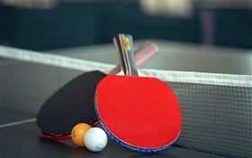 tenis de mesa y raqueta