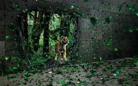 Tigre en el bosque, hojas verdes volar, imágenes creativas HD fondos de pantalla
