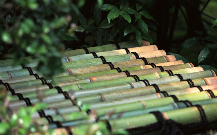 Tokio, Japón, balsa de bambú Fondos de pantalla, imagen
