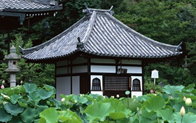 Tokio, Japón, jardín, templo, estanque de loto