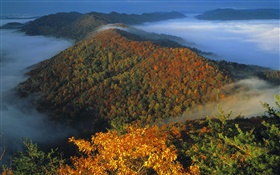 Vista superior del paisaje, montañas, niebla, amanecer HD fondos de pantalla