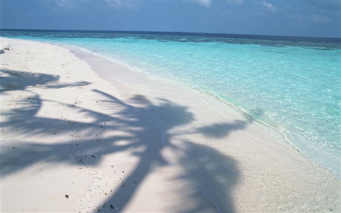 la sombra del árbol, Maldivas, la playa, el mar, las olas Fondos de pantalla, imagen