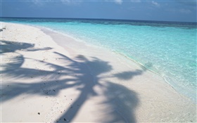 la sombra del árbol, Maldivas, la playa, el mar, las olas HD fondos de pantalla