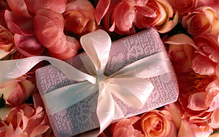 regalo de San Valentín, flores color de rosa Fondos de pantalla, imagen