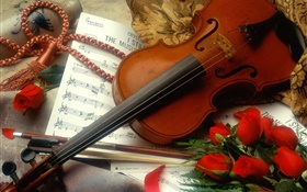 Violín, rosas rojas, la música