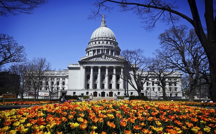 Washington, Madison, EE.UU., edificio, parque, flores Fondos de pantalla, imagen