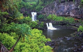 Cascadas, cala, agua, rocas, plantas, Hawaii, USA
