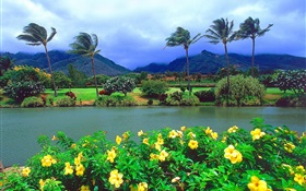 Viento, árboles, flores, montañas, nubes, Hawaii, USA