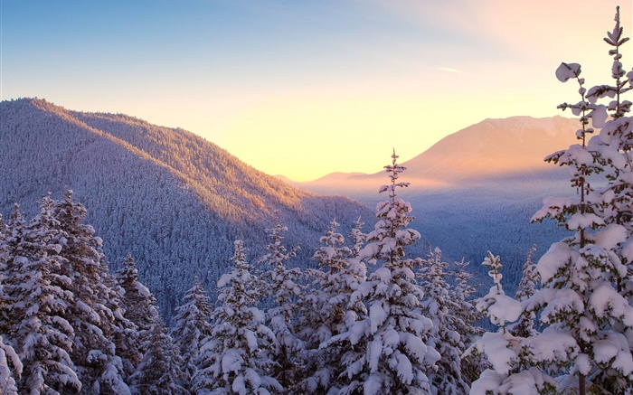 Invierno, montañas, nieve, árboles, puesta del sol Fondos de pantalla, imagen