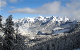 Invierno, montañas, árboles, nieve, paisaje de la naturaleza HD fondos de pantalla