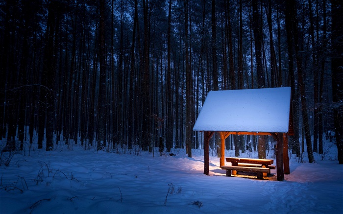 Invierno, árboles, pabellón, nieve, noche, luz Fondos de pantalla, imagen