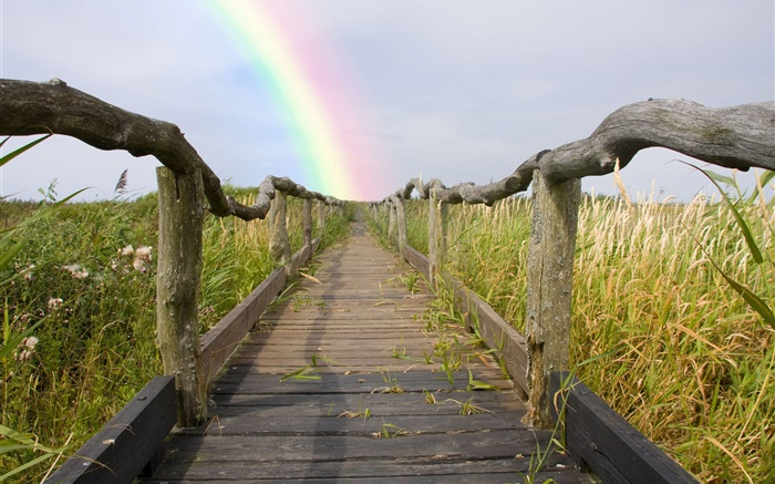 sendero de madera, cerca, hierba, arco iris, verano Fondos de pantalla, imagen