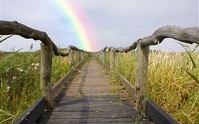 sendero de madera, cerca, hierba, arco iris, verano HD fondos de pantalla
