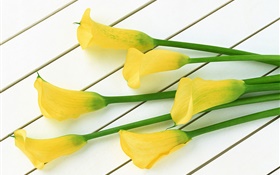 flores amarillas de la cala