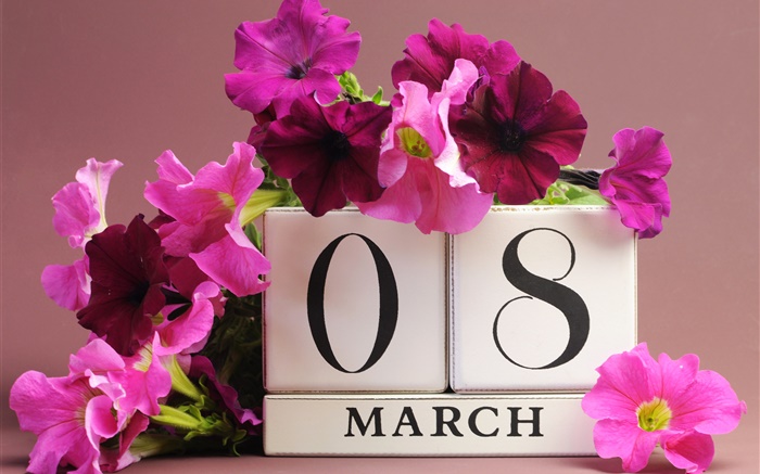8 de marzo Día de la Mujer, flores de color rosa petunia, fecha Fondos de pantalla, imagen