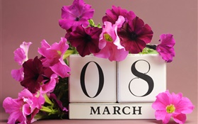 8 de marzo Día de la Mujer, flores de color rosa petunia, fecha HD fondos de pantalla