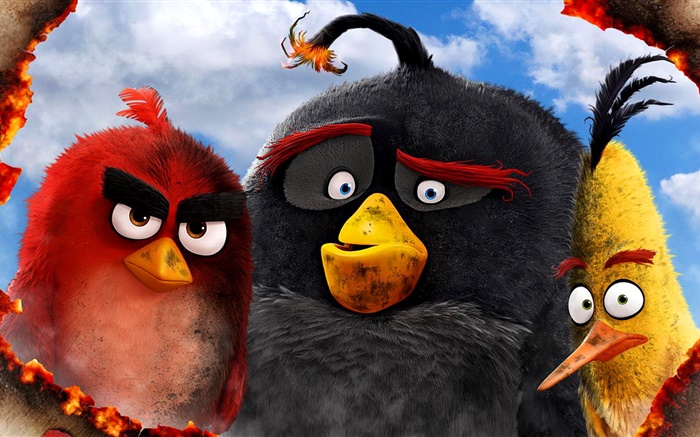 Angry Birds película de 2016 Fondos de pantalla, imagen