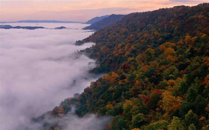 Hermoso paisaje de la naturaleza, montañas, árboles, otoño, niebla, amanecer Fondos de pantalla, imagen