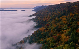 Hermoso paisaje de la naturaleza, montañas, árboles, otoño, niebla, amanecer HD fondos de pantalla