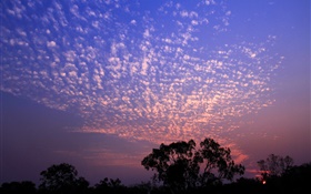 Hermosa puesta de sol, cielo, nubes, árboles silueta HD fondos de pantalla