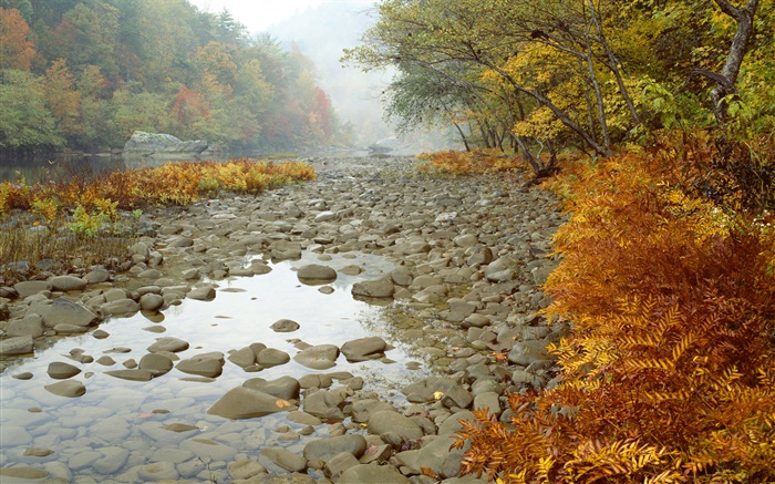 Gran río del sur de Tenedor, Tennessee, EE.UU. Fondos de pantalla, imagen
