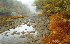 Gran río del sur de Tenedor, Tennessee, EE.UU. HD fondos de pantalla