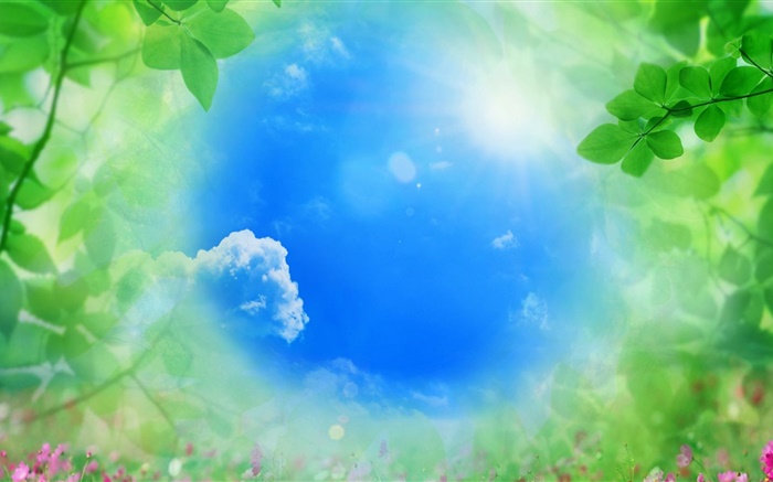 cielo azul, hojas verdes, sol, verano Fondos de pantalla, imagen