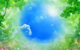 cielo azul, hojas verdes, sol, verano HD fondos de pantalla