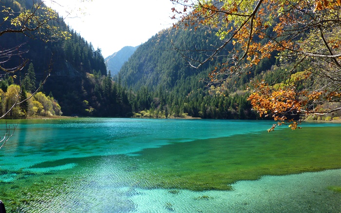 China, el Parque Nacional de Jiuzhaigou, lago, montañas, árboles Fondos de pantalla, imagen