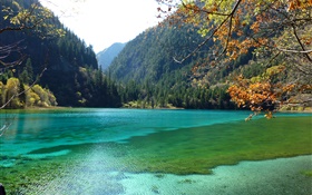 China, el Parque Nacional de Jiuzhaigou, lago, montañas, árboles