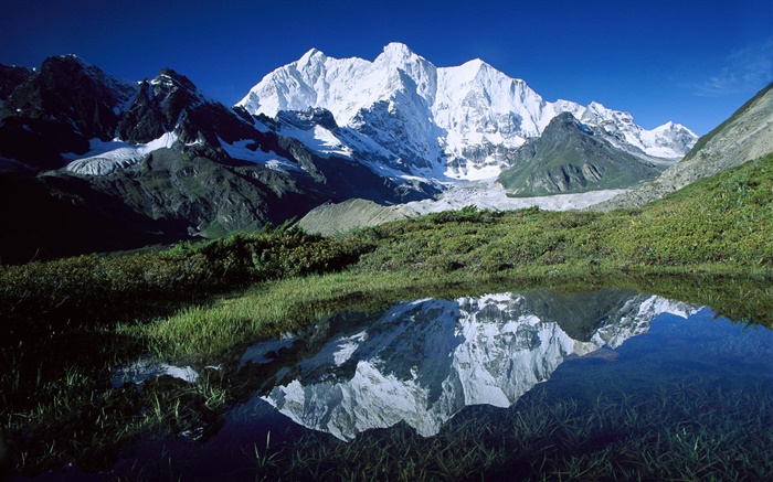 Chomo Lonzo, montañas, hierba, estanque, glaciares, Tíbet Fondos de pantalla, imagen