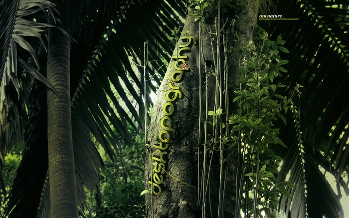 Diseño creativo, bosque, árboles, oruga Fondos de pantalla, imagen
