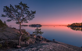 Finlandia, Finlandia bahía, mar, isla, puesta del sol, árboles, piedras