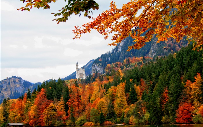 Alemania, Baviera, castillo Schwangau, árboles, río, otoño Fondos de pantalla, imagen