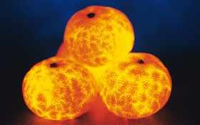 fruta luz, cuatro naranjas HD fondos de pantalla