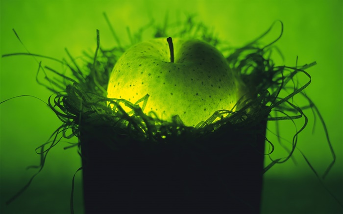 fruta luz, manzana verde en el nido Fondos de pantalla, imagen