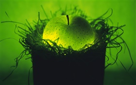 fruta luz, manzana verde en el nido