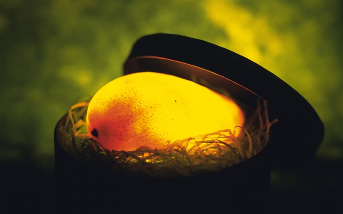 fruta luz, el mango en el nido Fondos de pantalla, imagen