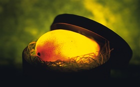 fruta luz, el mango en el nido
