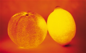 fruta claro, naranja y mango HD fondos de pantalla