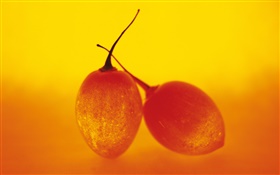 frutas luz, dos tomates de árbol HD fondos de pantalla