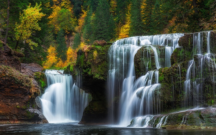 Bajar Lewis River Falls, Washington, EE.UU., cascadas, otoño, árboles Fondos de pantalla, imagen